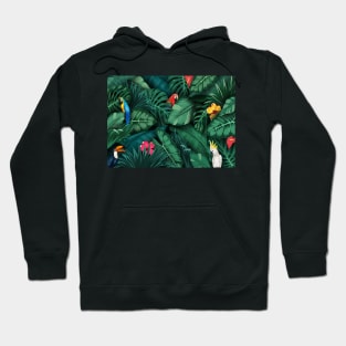 Tropical rainforest with birds Hoodie